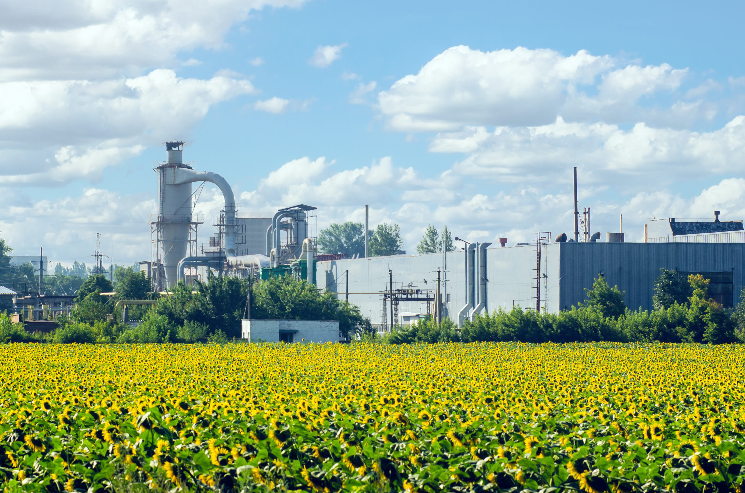 Analyse des impacts environnementaux