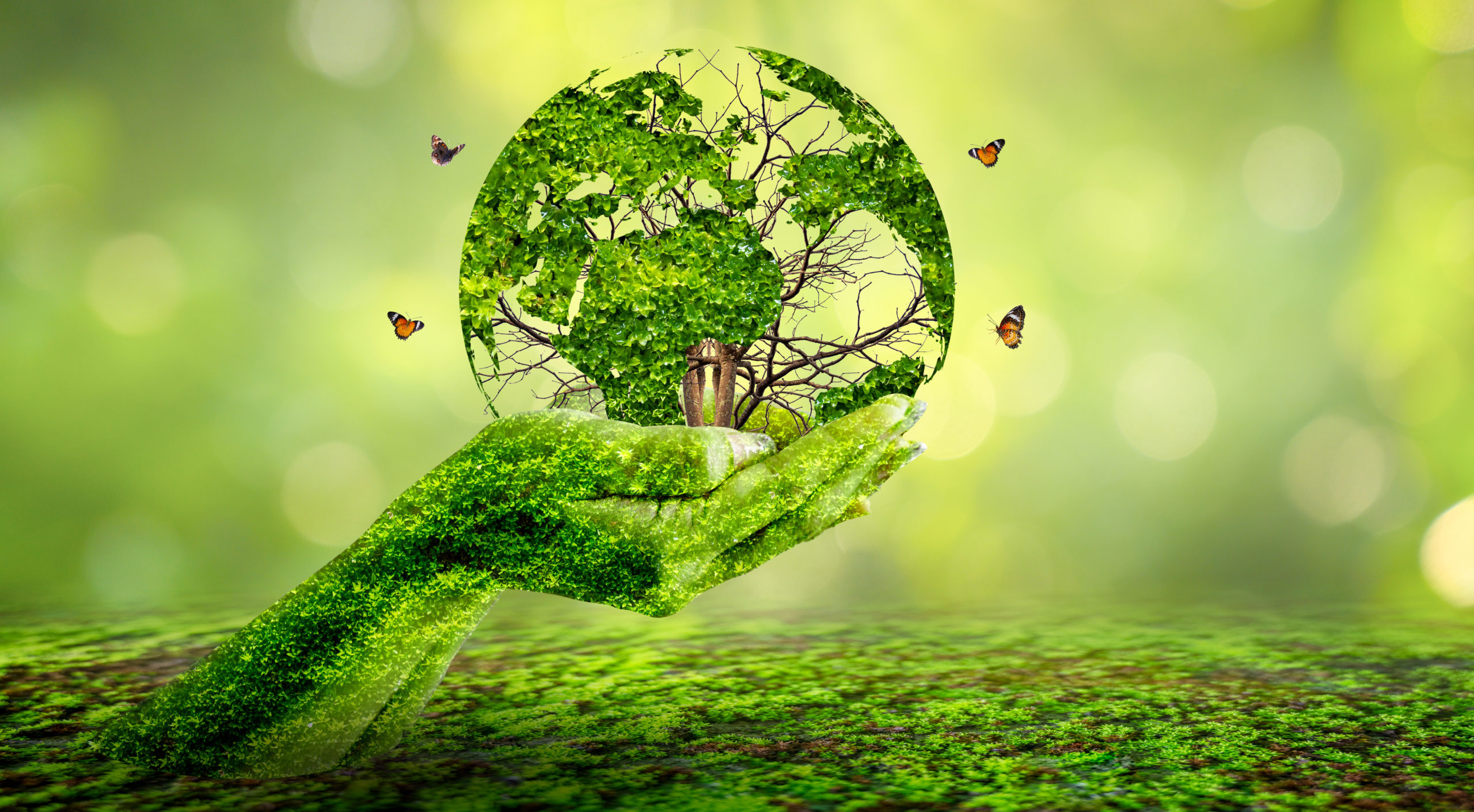 Inventaire des aspects environnementaux