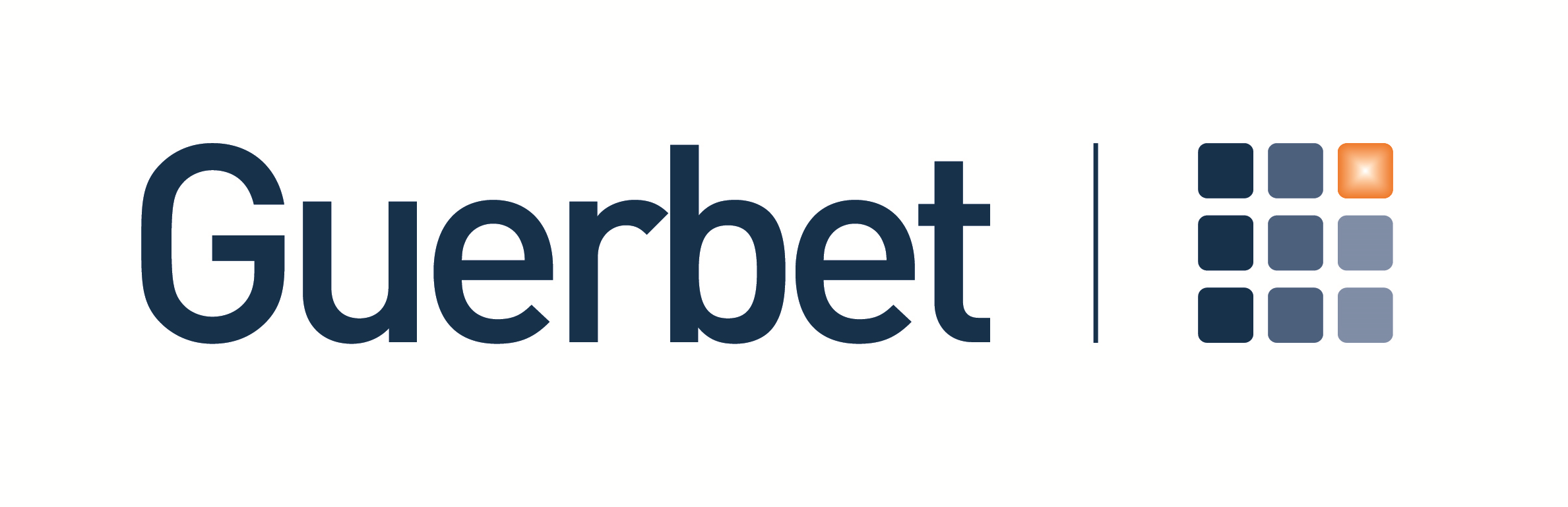 SUCCESS STORY GUERBET