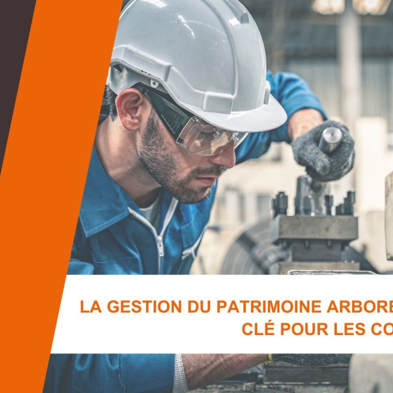 La gestion du patrimoine arboré : Un besoin clé pour les collectivités