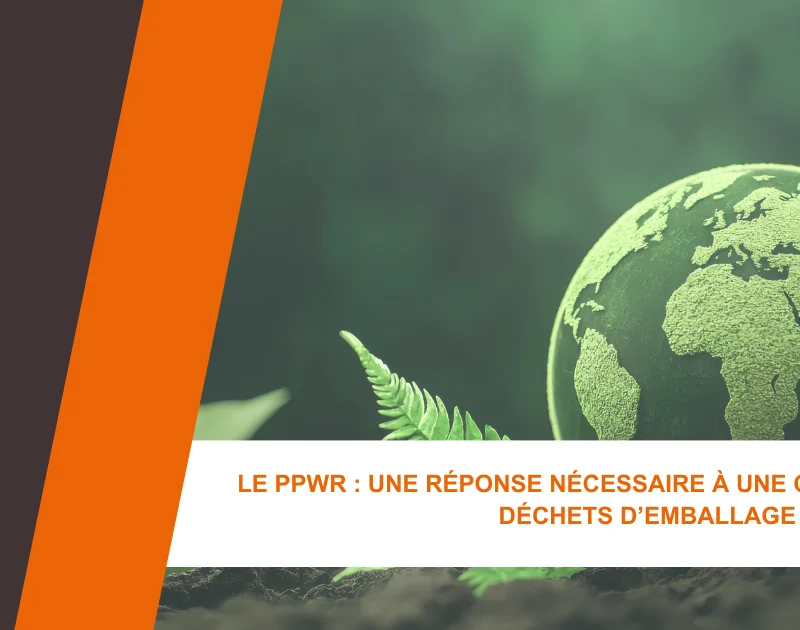PPWR Impact sur l'Agroalimentaire et Adaptation des Entreprises - #4