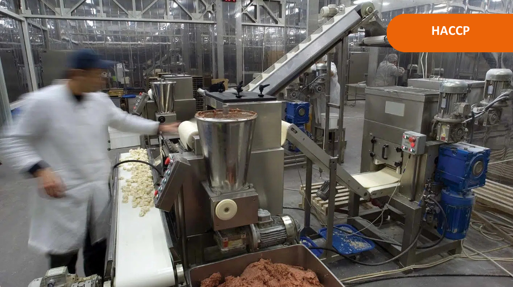 24 Mars 2026 – Comment utiliser vos plans HACCP sur vos lignes de production ?