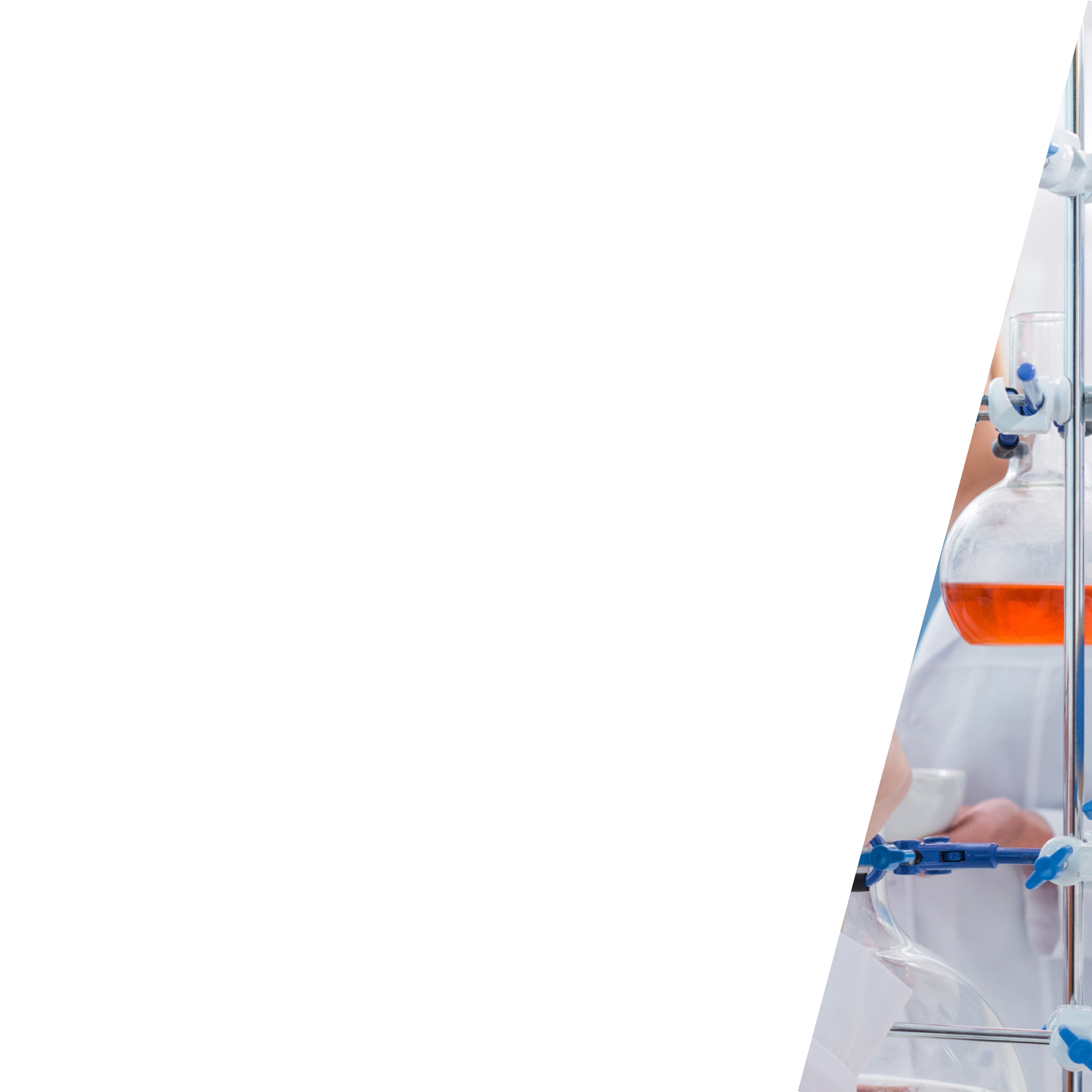 White Paper - LIMS - BASSETTI Group